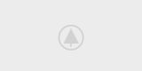 wood-gallery-placeholder-5 wood-gallery-placeholder-5